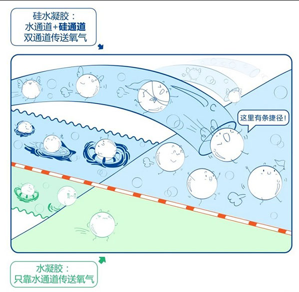 隐形眼镜价格一般是多少？(图3)