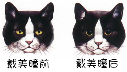 初遇美瞳—关于美瞳与彩色隐形眼镜的小常识！(图1)